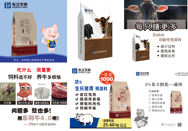 肉牛催肥預(yù)混料飼料生產(chǎn)廠(chǎng)家 肉牛催肥預(yù)混料飼料生產(chǎn)廠(chǎng)家